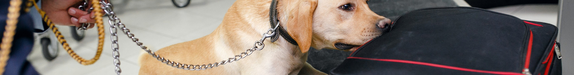 Manned Guarding in London and Essex