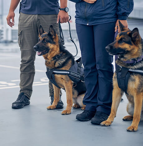 New Century Consultants Security