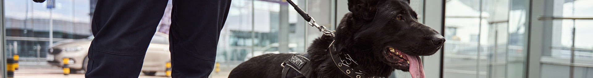 mobile security patrols in london and essex