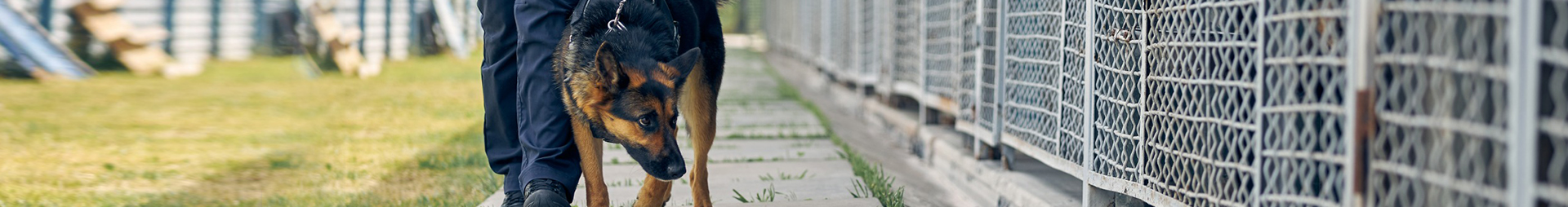 Vacant property security in London